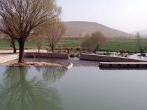 سراب و روستای فش
