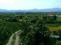 سفر به روستای بداب