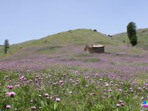 سلانسر رودبار ، یکی از بکرترین دیدنی های رودبار