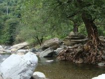 سموش کجاست ؟ منطقه ای تفریحی در استان گیلان