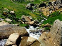 طبیعت بکر دشت میشان