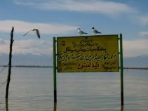 پناهگاه حیات وحش سرخانکل