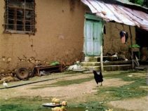 چگونه به روستای لیما برویم؟ معرفی روستای لیما بهمراه تصاویر آن