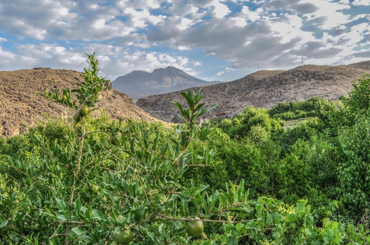 روستای تمین ، نگینی سبز در دل زاهدان