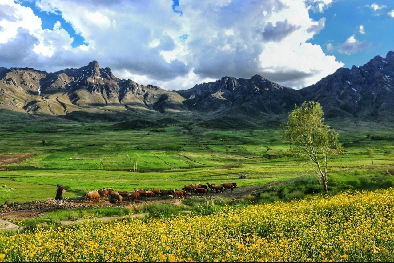 منطقه حفاظت شده بدر و پریشان در استان کردستان