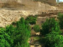 امامزاده حمزه علی از جاذبه های مذهبی استان چهارمحال وبختیاری
