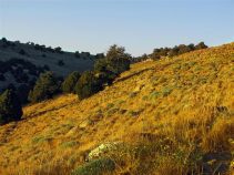 جاذبه طبیعی و زیبای منطقه گردشگری گلیل
