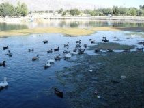 جاذبه گردشگری چشمه برم لردگان