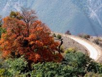 جاهای تفریحی خنک در سمنان