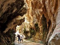 جاهای دیدنی خراسان جنوبی در تابستان