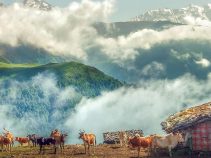 دهکده رویایی مازیچال کجاست؟