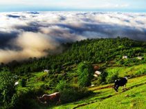 دهکده رویایی مازیچال کجاست؟