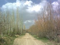 روستای آهو کجاست؟