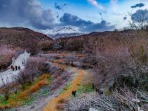 روستای تمین ، نگینی سبز در دل زاهدان