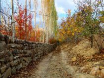روستای سیه بنوئیه کجاست؟