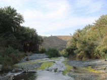 روستای کندر کجاست؟