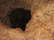 غار طرنگ ، مهمترین غار در استان کرمان