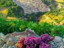 معرفی روستای دوان ، ماسوله استان فارس