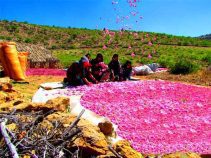 معرفی روستای لایزنگان ، سرزمین گل‌های محمدی
