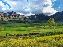 منطقه حفاظت شده بدر و پریشان در استان کردستان