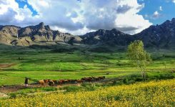 منطقه حفاظت شده بدر و پریشان در استان کردستان