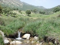 منطقه حفاظت شده بلس کوه