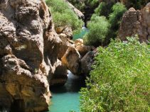 مکان های تفریحی تابستان در شیراز