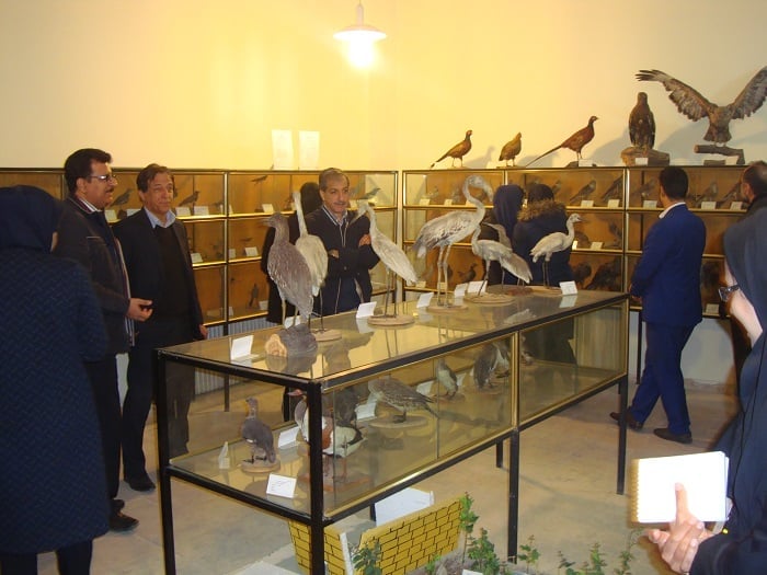 موزه حشرات هایک میرزایانس از جاهای دیدنی تهران