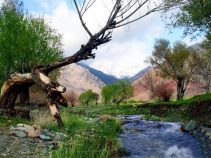 نتیجه تصویری برای باغرود نیشابور