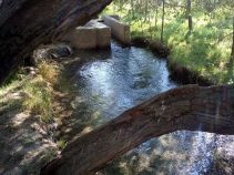 Image result for ‫چشمه گیلاس چناران‬‎