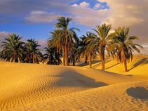 کویر حلوان یکی از بکرترین کویرهای ایران