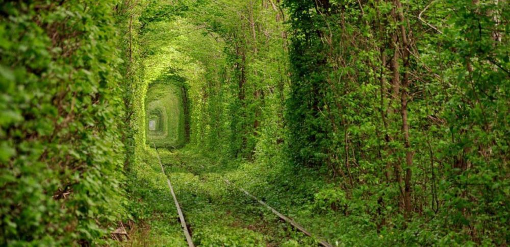 تونل عشق یکی از عاشقانه ترین مکان های کره زمین
