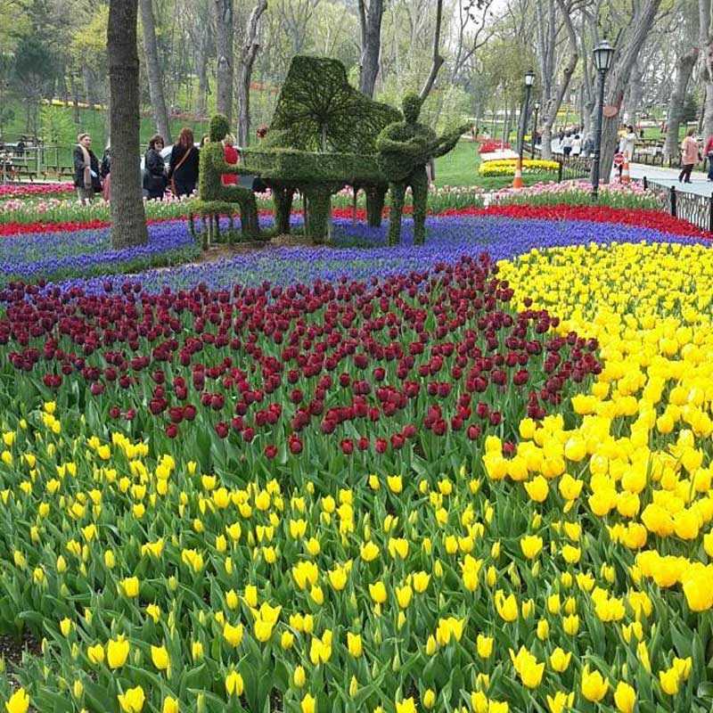 پارک امیرگان ، یکی از خاصترین و زیباترین پارک های استانبول