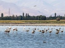 تالاب کانی برازان از مهمترین و زیباترین آبگیرهای غرب کشور