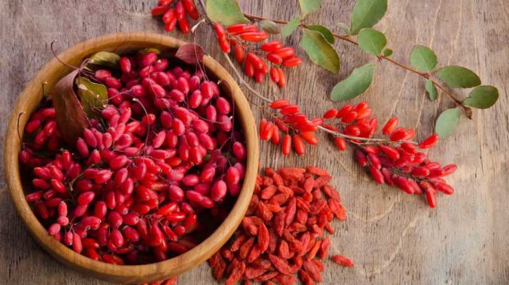 سوغات بیرجند ، محبوب ترین و خوشمزه ترین سوغات بیرجند