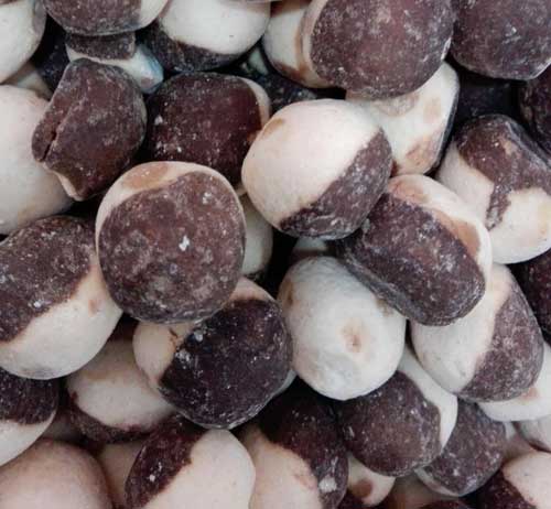 سوغات بیرجند ، محبوب ترین و خوشمزه ترین سوغات بیرجند