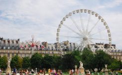 معرفی باغ تویلری ، یکی از زیباترین پارک های پاریس