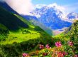 دره گل ها ، از تفریحگاه های فوق العاده ارمنستان