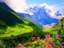 دره گل ها ، از تفریحگاه های فوق العاده ارمنستان