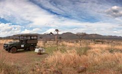 معرفی پارک ملی پیلانسبرگ در آفریقای جنوبی