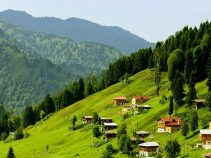 ییلاق آیدر ، زیبا و باورنکردنی + تصاویر