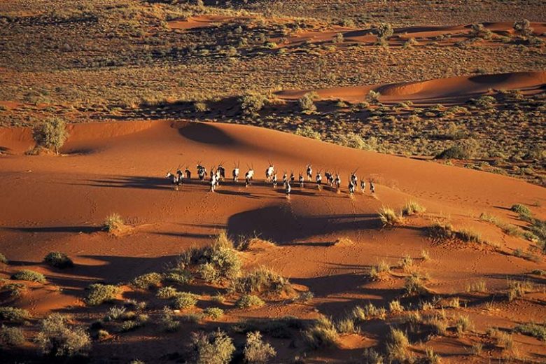 بازدید ار جاذبه های گردشگری نامیبیا