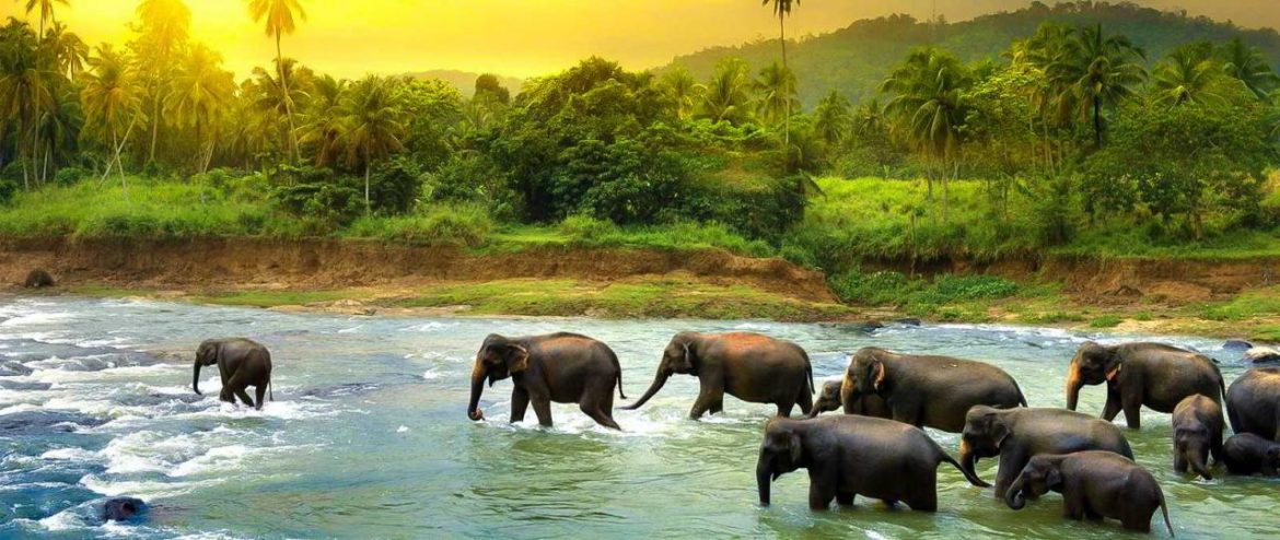 دیدنی های سریلانکا ، 13 جاذبه مهم سریلانکا که فوق العاده هستند
