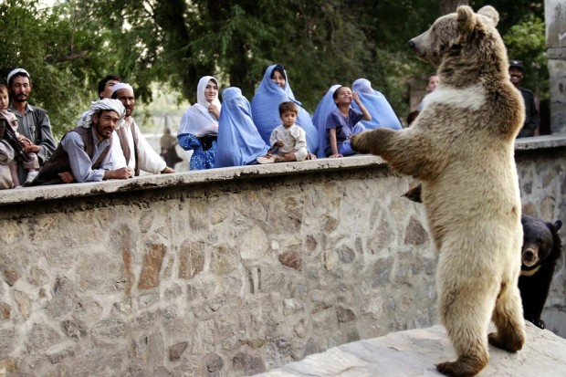 باغ وحش کابل ، از محبوب ترین مکان های تفریحی کابل