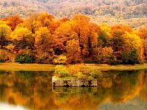 رشد درصد گردشگری و چگونگی دغدغه ملی حال حاضر