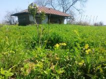روستای گالشکلا در بابلسر (معروف به بهشت دامداران)