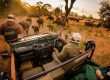 پارک جنگلی انتابنی از بهترین اماکن سافاری در آفریقای جنوبی