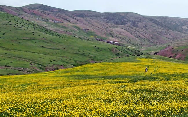 بهترین جاهای دیدنی شمال ایران در تابستان