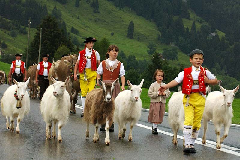 سنت ها و آداب و رسوم مردم سوئیس