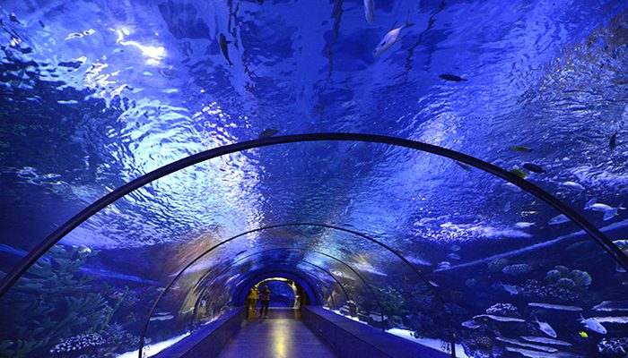 آشنایی با آکواریوم آنتالیا دارای بزرگ‌ترین تونل آکواریومی جهان